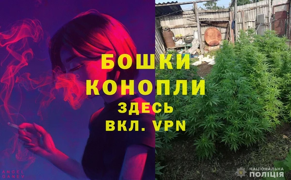 сатива Алексеевка