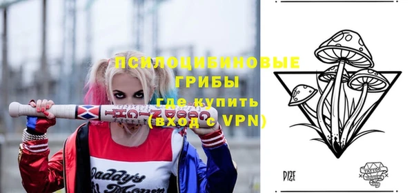 сатива Алексеевка