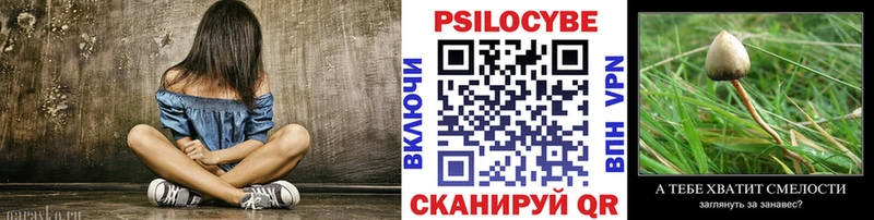 Псилоцибиновые грибы Cubensis  закладка  Бронницы 